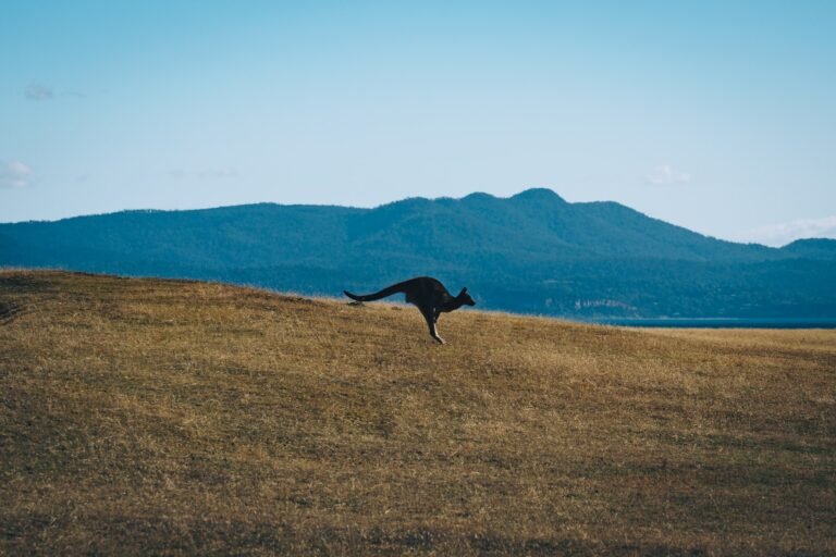fidel-fernando-79_uJyc7ql4-unsplash
