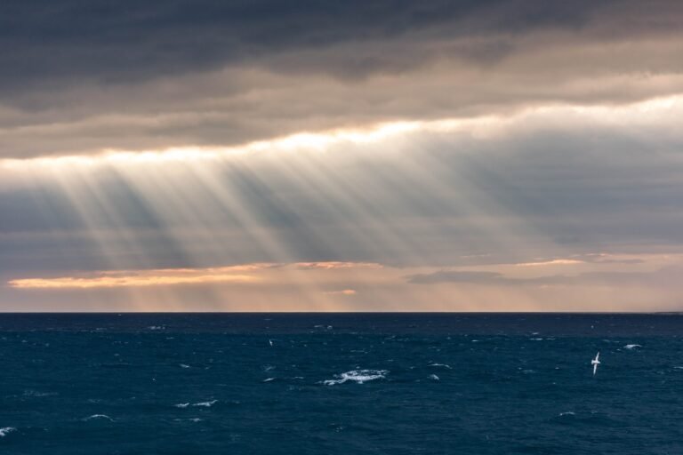 michael-held-HQ1188RsLxc-unsplash