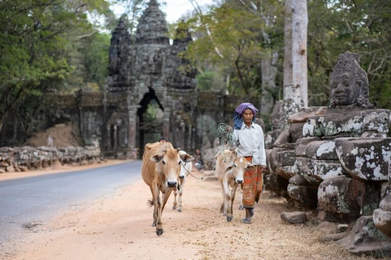 angkor-feel-mQltjVAZu24-unsplash